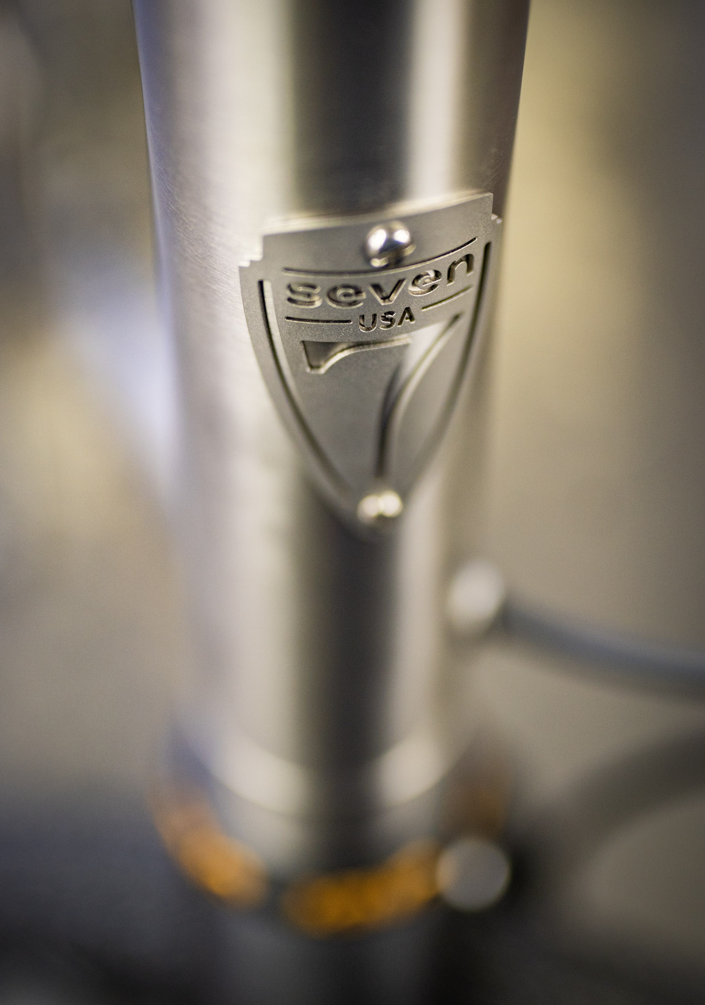 S-type head tube badge
