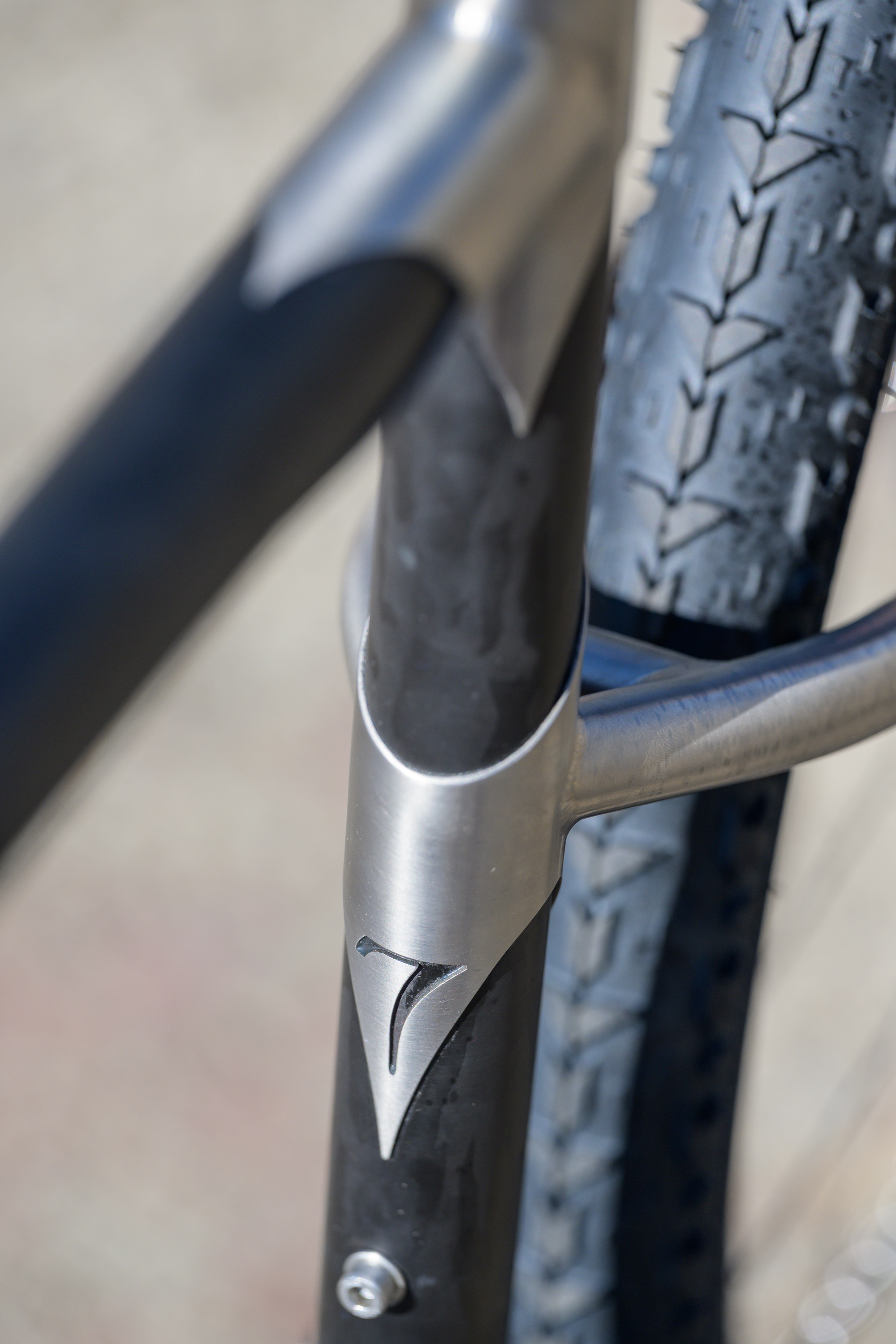 Seven Evergreen PRO carbon with king jade parts full bike side