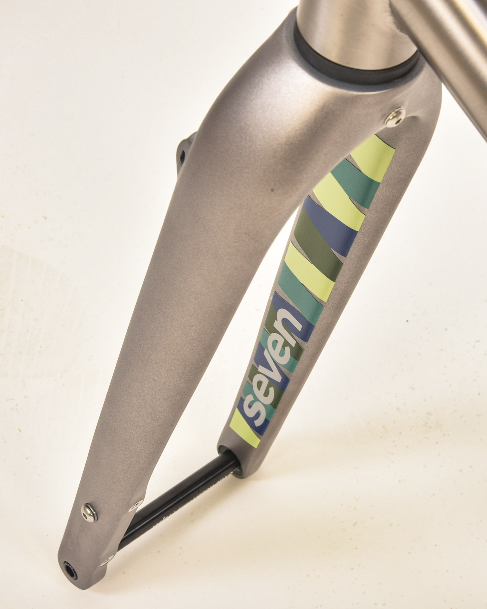 Special Edition Livery matte platinum fork